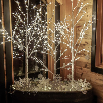 CHRISTMAS AND WINTERSCAPE DECOR